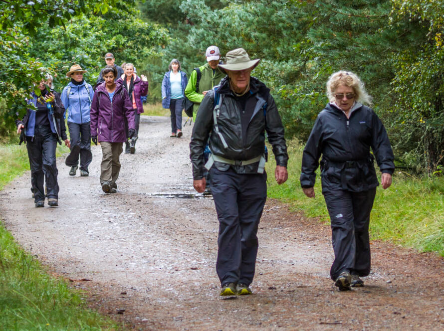 Mountain Trail Walking Club - ICA