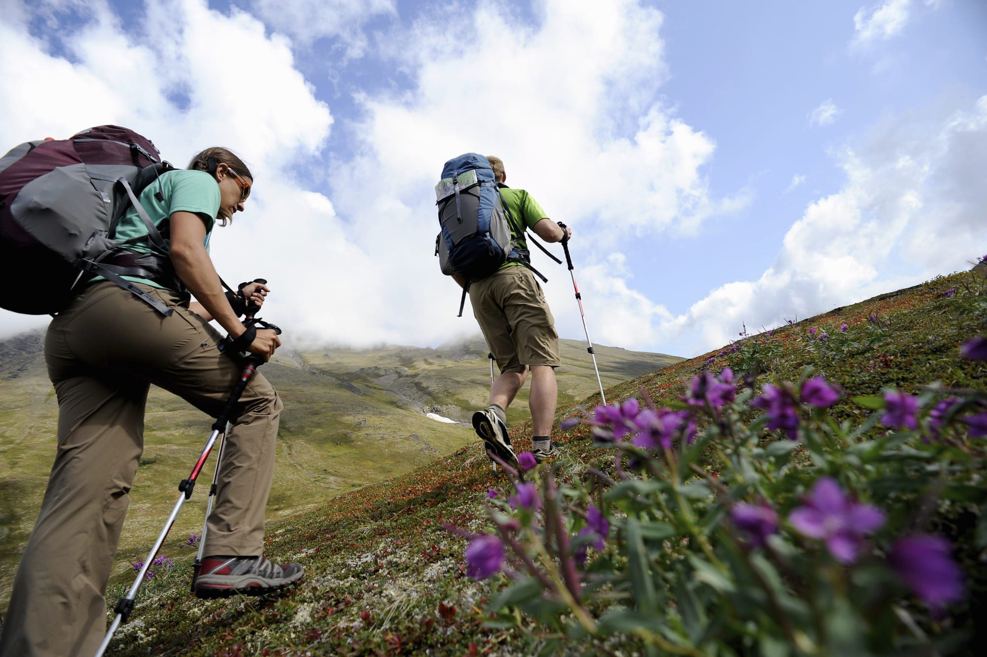 The Hash Mountain Walk